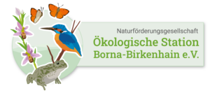 Das Logo der Ökologischen Station Borna-Birkenhain e.V.